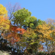 雁坂峠