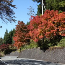 三峰観光道路（秩父市三峰）