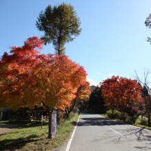 三峰観光道路（秩父市三峰）