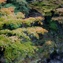 大血川周辺