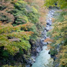 大血川周辺