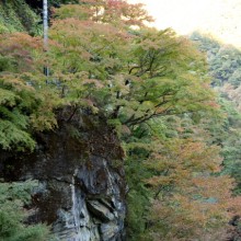 大血川周辺