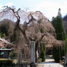 法善寺_01