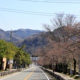 宝登山参道_01