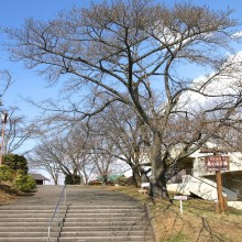 美の山公園