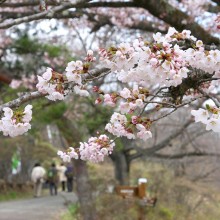 山頂・美の山公園