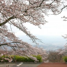 山頂・美の山公園