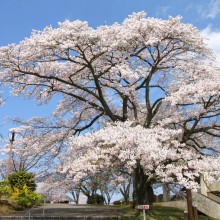 山頂・美の山公園