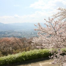 山頂・美の山公園