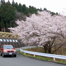 美の山・中腹