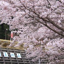 美の山・中腹