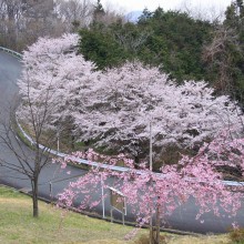 美の山・中腹