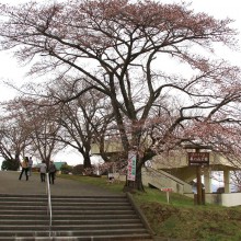 山頂・美の山公園