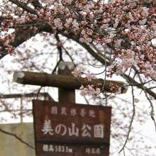 山頂・美の山公園