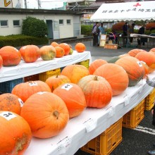 みんなの皆野ふれあいまつり