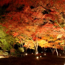 月の石もみじ公園 01