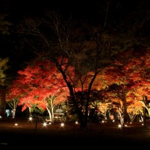 月の石もみじ公園 03