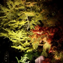 寶登山神社 01