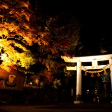 寶登山神社 03