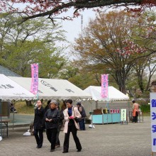 美の山桜まつり