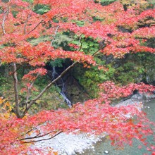 金蔵落しの渓流