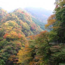 金蔵落しの渓流