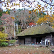 三峯神社紅葉