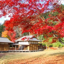 三峯神社紅葉