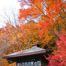 三峯神社紅葉