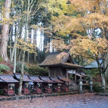 三峯神社紅葉