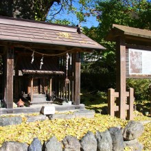 国神の大銀杏