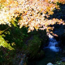 皆野町・秩父華厳の滝