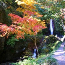 皆野町・秩父華厳の滝