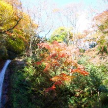 皆野町・秩父華厳の滝