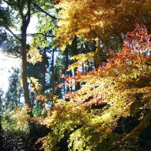 皆野町・秩父華厳の滝