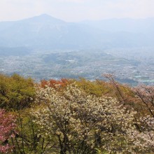 美の山（皆野町／秩父市）