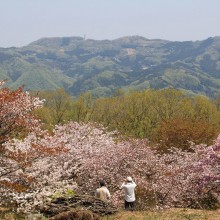 美の山（皆野町／秩父市）