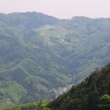 美の山から望むポピー畑