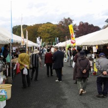 吉田よいとこ祭り