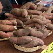 吉田よいとこ祭り