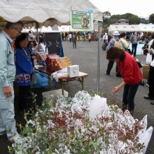 吉田よいとこ祭り