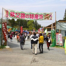 芝桜の丘