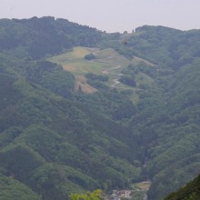 美の山公園・ヤマツツジ