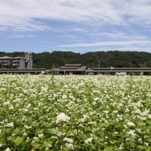 そば処ちちぶ花見の里