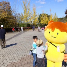 秩父ミューズパーク銀杏並木