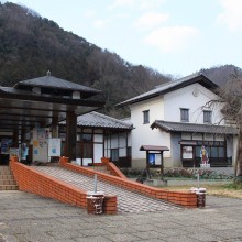 道の駅龍勢会館 裏庭の福寿草