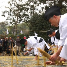 椋神社御田植祭