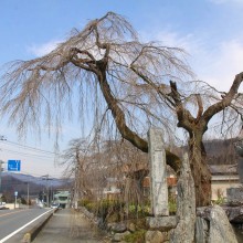 法善寺