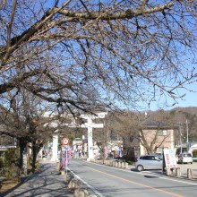 宝登山参道