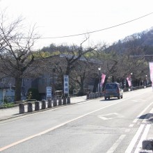 宝登山参道